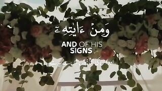 Recitation of Holy Quran Tilawat Quran e Pak