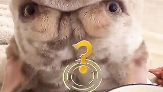 Accept Challenge try not to laugh it's funny