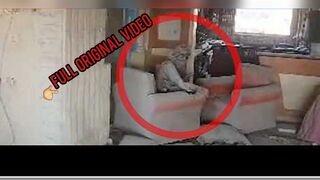 Full original sinwar video yahya sinwar video sinwar drone video hamas yahya sinwar viral