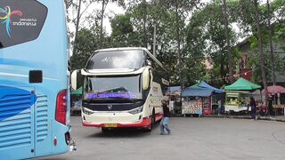 Bus Sembodo & Bus Harapan Jaya di Terminal Poris