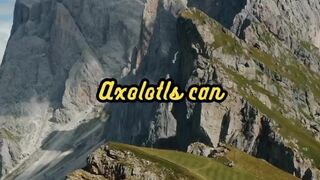 Animal Facts        Axolotl Regeneration          #shorts