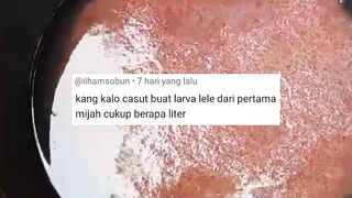 1 pijahan lele habis CACING SUTERA berapa liter❓