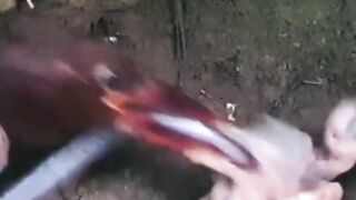 কুরআন পড়লে চোখের জ্যোতি বাড়ে এবং জ্ঞান বাড়ে।