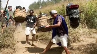Hiking