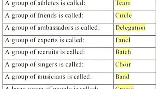 An Informative content about collective noun