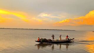 The beauty of Sunset