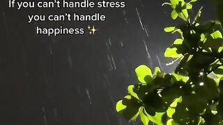 If you can't handle stress, you can't handle happiness