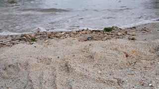 Tanah Merah Beach Samboja