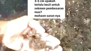 Tebar bibit lele ukuran 3-5cm apakah terlalu kecil untuk segmen pembesaran, mohon sarannya❓