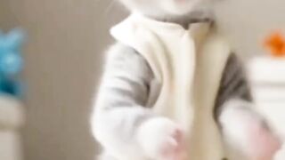 أحسن مقطع فيديو استمتع بي الموسيقى