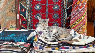 Handmade Beauty