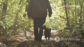 Pet dogs can be part of the jungle experience,