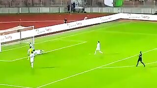 الجزائر /الطوقو