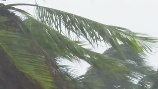 hurricane milton florida