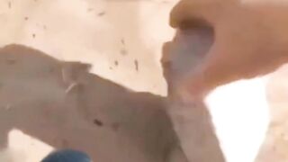 رمال الصحراء تبتلع كل شيء صباحا الله ????