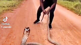 Serpentz