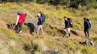 Hiking