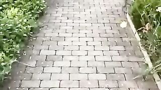 This is so lovely I just had to share it.Please watch to the end