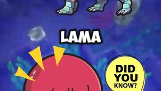 Taukah Kamu Hiu Lebih Eksis Lebih Lama Di Bandingkan Dinosaurus ???????? #country #countryballs