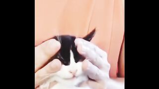 The massage hitting that sweeeeeet spot