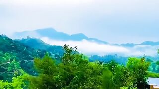 Kashmir Rain Weather Beautiful Views #kashmir #kashmirvalley #rain #weather #beautiful #viralvideo