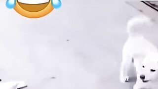 Laugh from your heart