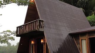 Beautiful house