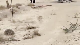 Ghazwa_E_Badar_Ka_Maqam_#madina_#islam_#islamic_#new_#viral_#(480p