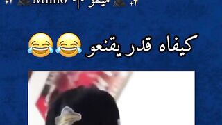 مضحك جدا هل المتفرجين يفهمون للغة العربية والامازيغية