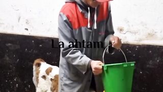 #الضربة القادية