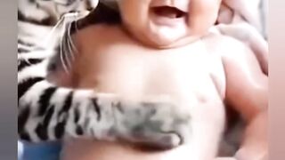 خلق السعادة مع أجمل الحيونات