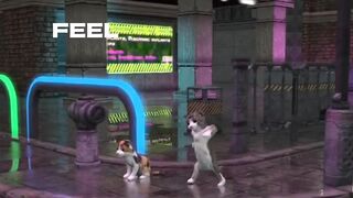 Dancing cats