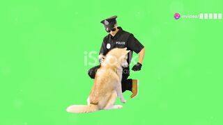 Police dogs are considered one of the most important