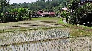 The tranquil countryside is filled with fresh air,