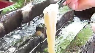 Traveling japan street food