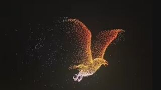 The Drone In The Sky