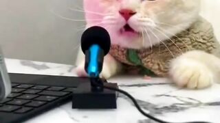 يمكن للحيوان أن يغني كما الإنسان