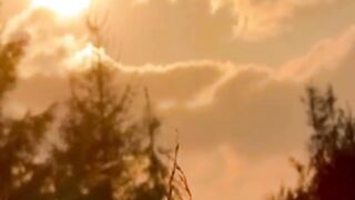 Beautiful nature