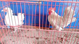 Me in prison