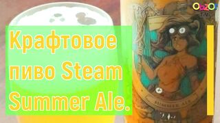 Obzor TiVi: крафтовое пиво Summer Ale (Steam Brew).