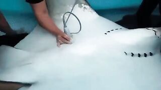 Marine life specialists