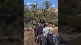 Palestinian farmers and foreign activists assaulted while picking olives in the village of Burqa
