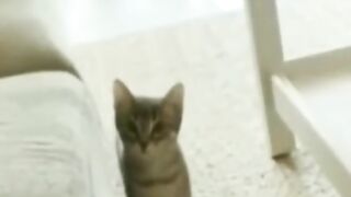 فيديو مضحكFunny video