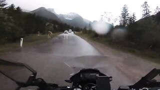 Crossing into Austria Ep. 08 | Germany to  and India on Motorcycle BMW G310GS