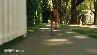 Cats and dogs