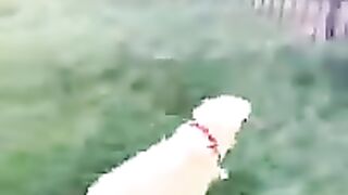 When i will eat