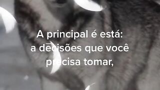 motivaçaodiaria