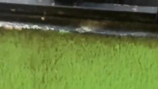 Comedor de cabides