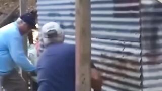 World funny mojfunny viral  part6