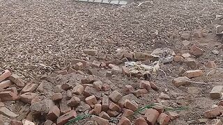 Live work road level